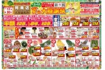夏の大感謝祭