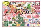 日替わりセール