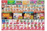 日替わりセール
