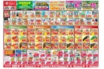 日替わりセール