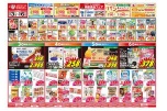 日替わりセール