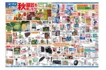 秋園芸を楽しもう！