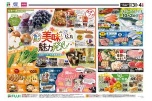 美味しい魅力発見！じもと広島フェア
