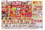 総力祭