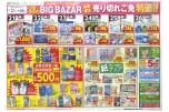 春の日用品　ＢＩＧＢＡＺＡＲ