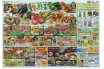 使い方いろいろ夏の野菜