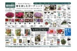 春を楽しむガーデニング