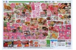 春をおいしく楽しく！お花見特集