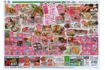 春をおいしく楽しく！お花見特集