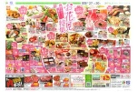 春をおいしく楽しく！お花見特集