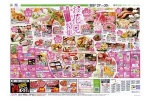 春をおいしく楽しく！　お花見特集