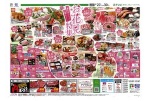 春をおいしく楽しく！お花見特集