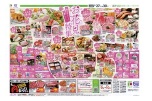 春をおいしく楽しく！　お花見特集