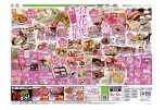 春をおいしく楽しく！　お花見特集