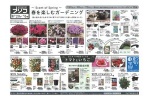 春を楽しむガーデニング