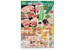 新鮮　春野野菜が入荷しました