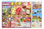 全力祭