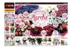 Ｍｏｔｈｅｒ’ｓＤａｙ　Ｍａｒｃｈｅ