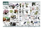 特別じゃないけど、ちょうどいい～花を贈ろう～
