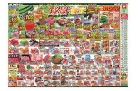 初夏の感謝還元セール