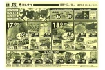 大感謝祭