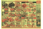 日替わりセール