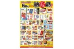 ６月の納得品！