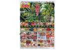 野菜大放出！！