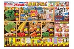 エーマックス赤岡店２５周年祭　全店店協賛セール！