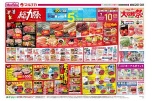 総力祭
