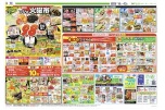 恒例フジの火曜市