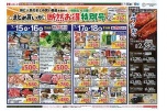 まとめ買いが断然お得特別号