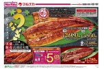 うなぎ