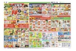 恒例フジの火曜市