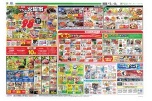 恒例フジの火曜市