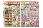 全力大感謝祭