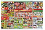 恒例フジの火曜市