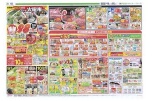 恒例フジの火曜市