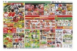 恒例フジの火曜市