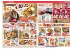 きのこを楽しむ