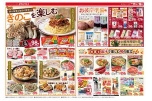 きのこを楽しむ