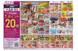 イオン生鮮大市
