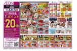 イオン生鮮大市