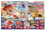 今日はお魚に決まり！