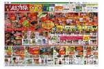 フジの本気！総力祭