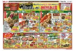 スペシャルなまとめ買いが断然お得