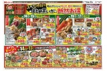 スペシャルなまとめ買いが断然お得