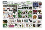 おうちで楽しむ菜園ライフ
