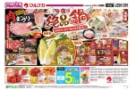 今夜は絶品鍋