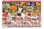 日替わりセール